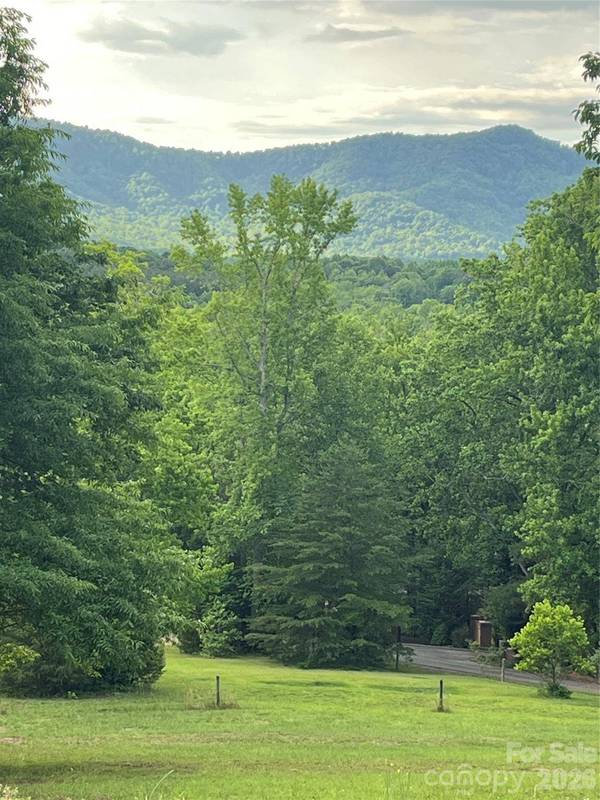 354 Woodland DR, Columbus, NC 28722