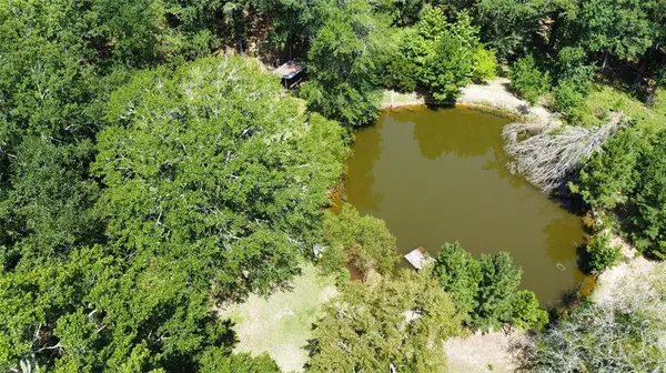 161 Private Road 5973, Elkhart, TX 75839
