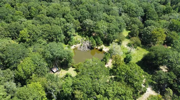 161 Private Road 5973, Elkhart, TX 75839