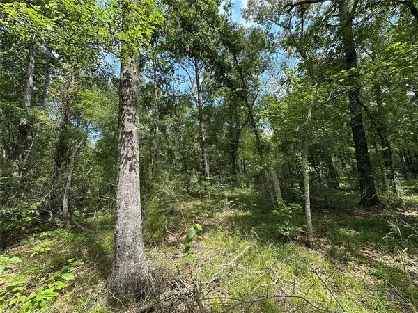 161 Private Road 5973, Elkhart, TX 75839