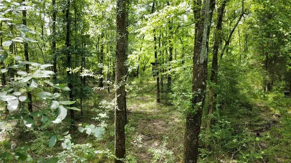161 Private Road 5973, Elkhart, TX 75839
