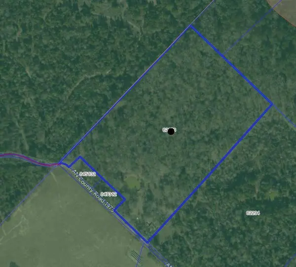 161 Private Road 5973, Elkhart, TX 75839