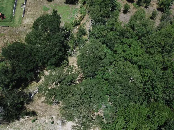 1925 Carter Lane, Gunter, TX 75058