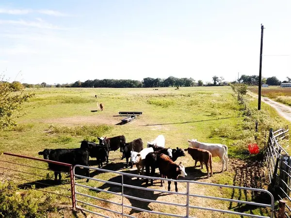 TBD Vz County Road 2512, Canton, TX 75103