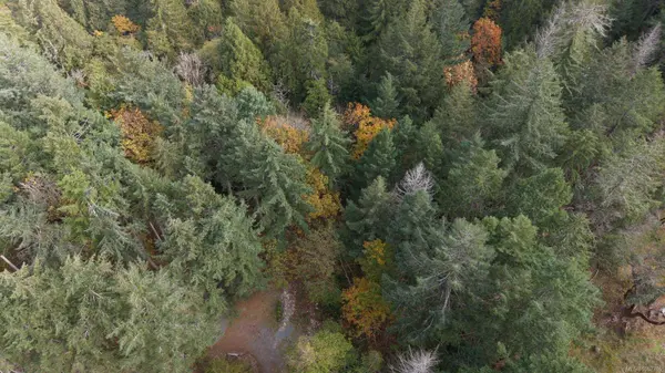 Lot B Boyd Dr, Nanoose Bay, BC V9P 9E9