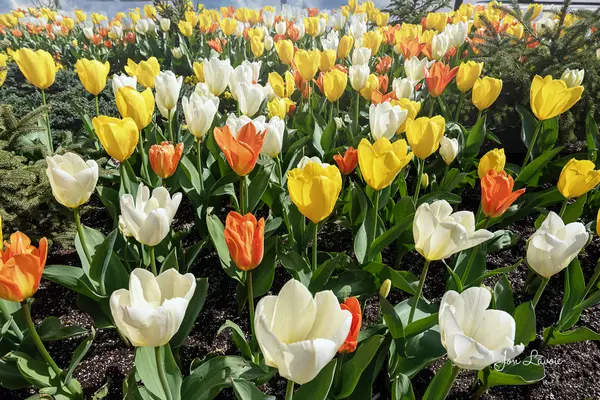 feature image of Thinking of Selling This Spring? Here&#39;s What Every Homeowner Should Know