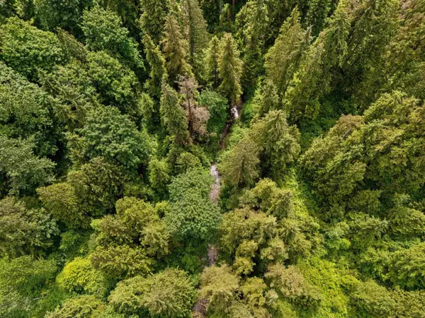 9338 Clay ST, Mission, BC V4S 1G2