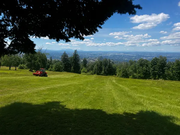 Fraser Valley Real Estate Market 2026: Best Places to Buy a Home in BC