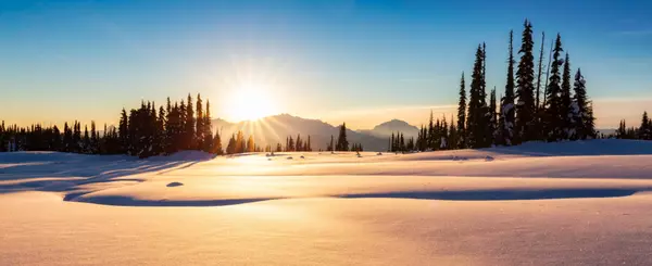 feature image of Whistler Property Market Trends August 2025