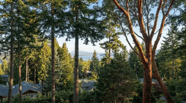 Caulfeild West Vancouver Real Estate: Prices, Homes & What Buyers Need to Know (2026),Debbie Evans