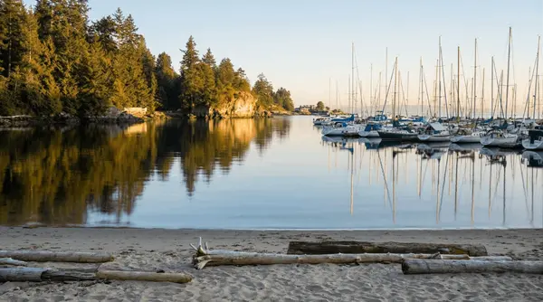 Eagle Harbour West Vancouver Real Estate: Prices, Homes & What Buyers Need to Know (2026),Debbie Evans