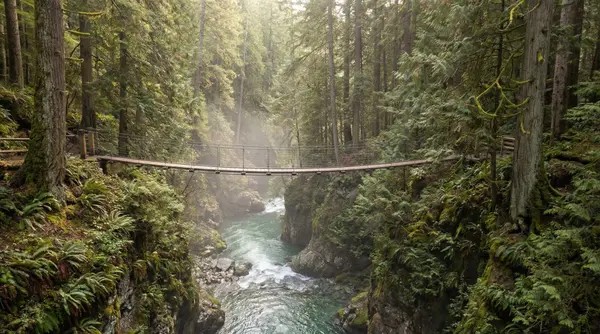 Lynn Valley North Vancouver Real Estate: What Buyers Need to Know in 2026,Debbie Evans