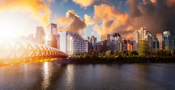 calgary real estate expert