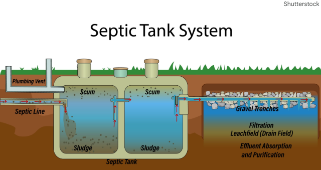 Diagram of a typical acreage septic tank system showing the septic line, two-chamber tank with scum and sludge layers, and the drain field gravel trenches for effluent absorption and purification