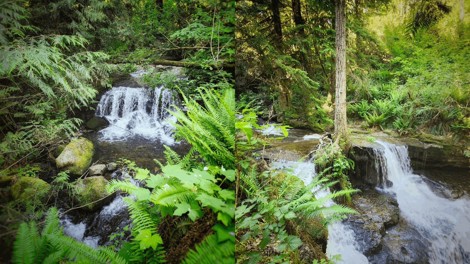 Find the Hidden Falls in Auguston, Abbotsford East
