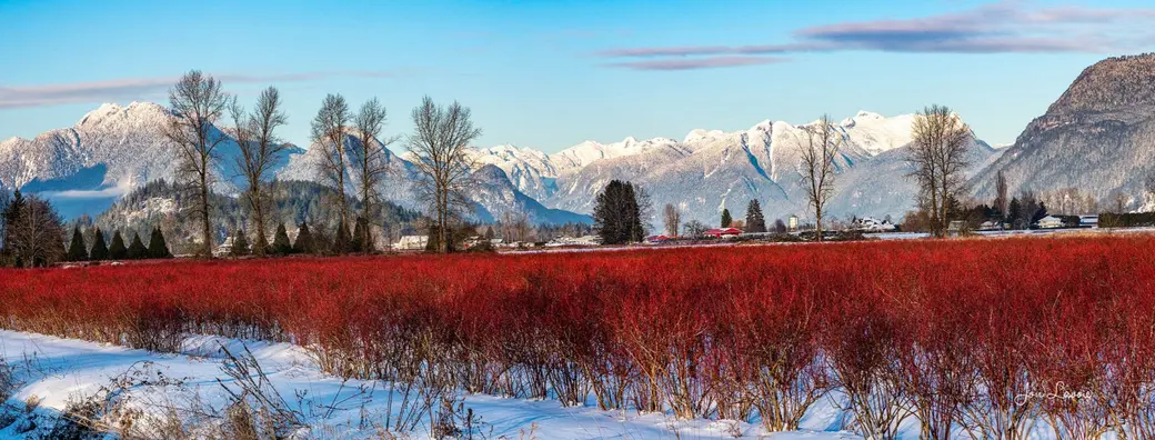 Comprehensive Analysis of February 2025 Fraser Valley Real Estate Market Data