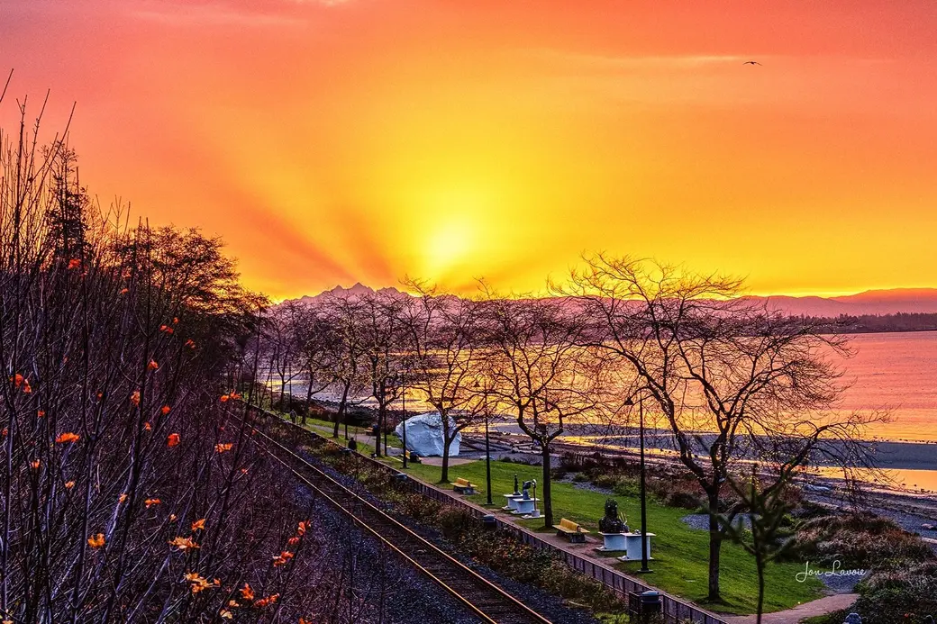 Comprehensive Analysis of June 2025 Fraser Valley Real Estate Market Data