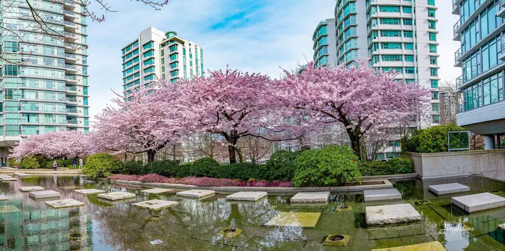 Comprehensive Analysis of March 2026 Fraser Valley Real Estate Market Data