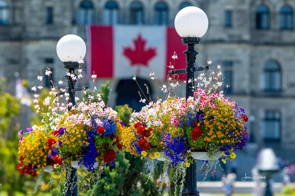 Americans' Guide to Buying BC Real Estate: Taxes, Deposits, & Foreign Buyer Rules Explained Step-by-Step,Katie Van Nes