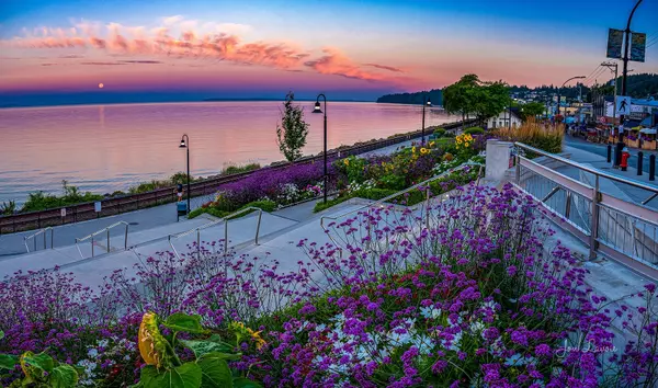 feature image of Small Business Spotlight | Jon Lavoie Fine Art Photography | Fraser Valley