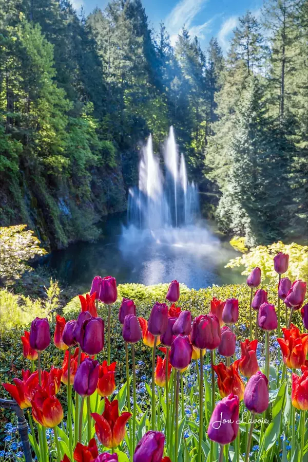 feature image of Small Business Spotlight | Jon Lavoie Fine Art Photography | Fraser Valley