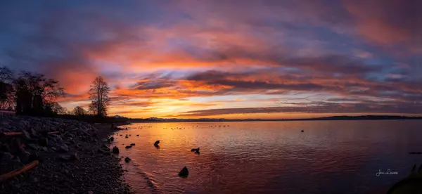 Fraser Valley Real Estate Q4 2025 Market Summary