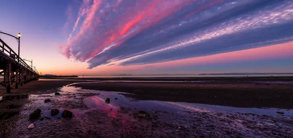 Comprehensive Analysis of January 2026 Fraser Valley Real Estate Market Data