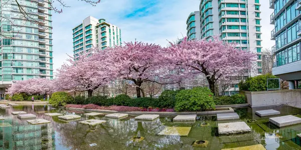 feature image of Comprehensive Analysis of March 2026 Fraser Valley Real Estate Market Data