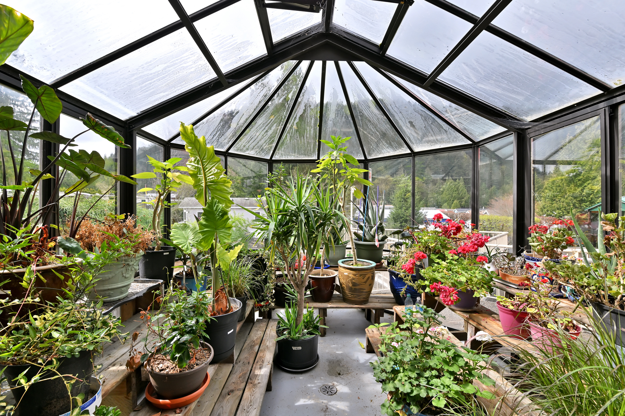 Tapadera Estates Clubhouse Solarium
