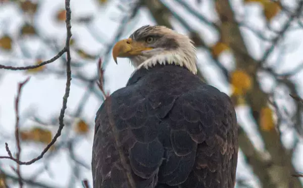 14600 Morris Valley Rd #178, Fraser Valley, BC V0M 1A1