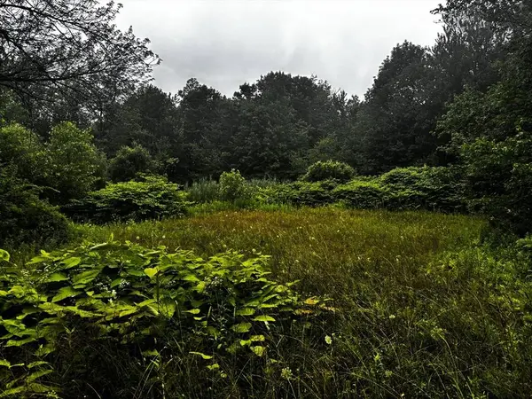 Lot 3 Lafayette Dr, Peru, MA 01235