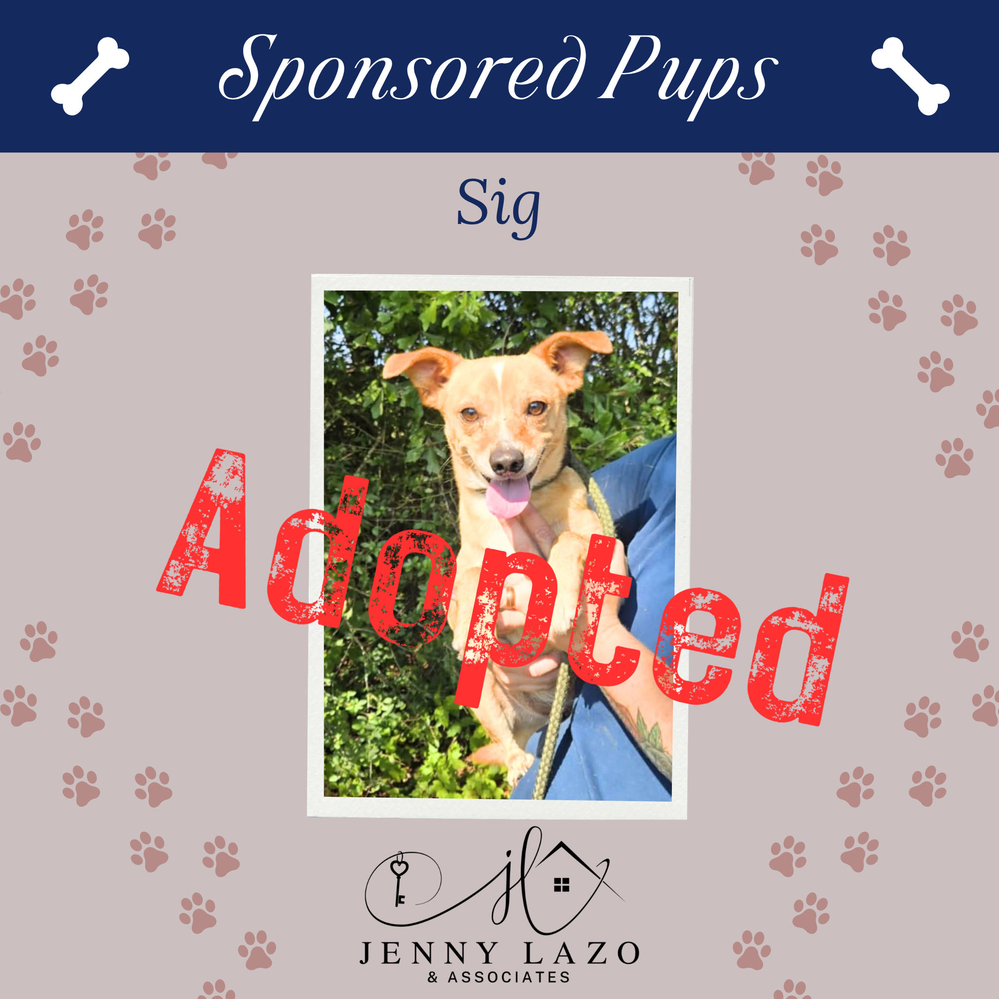 Sig, rescue sponsored by Jenny Lazo & Associates