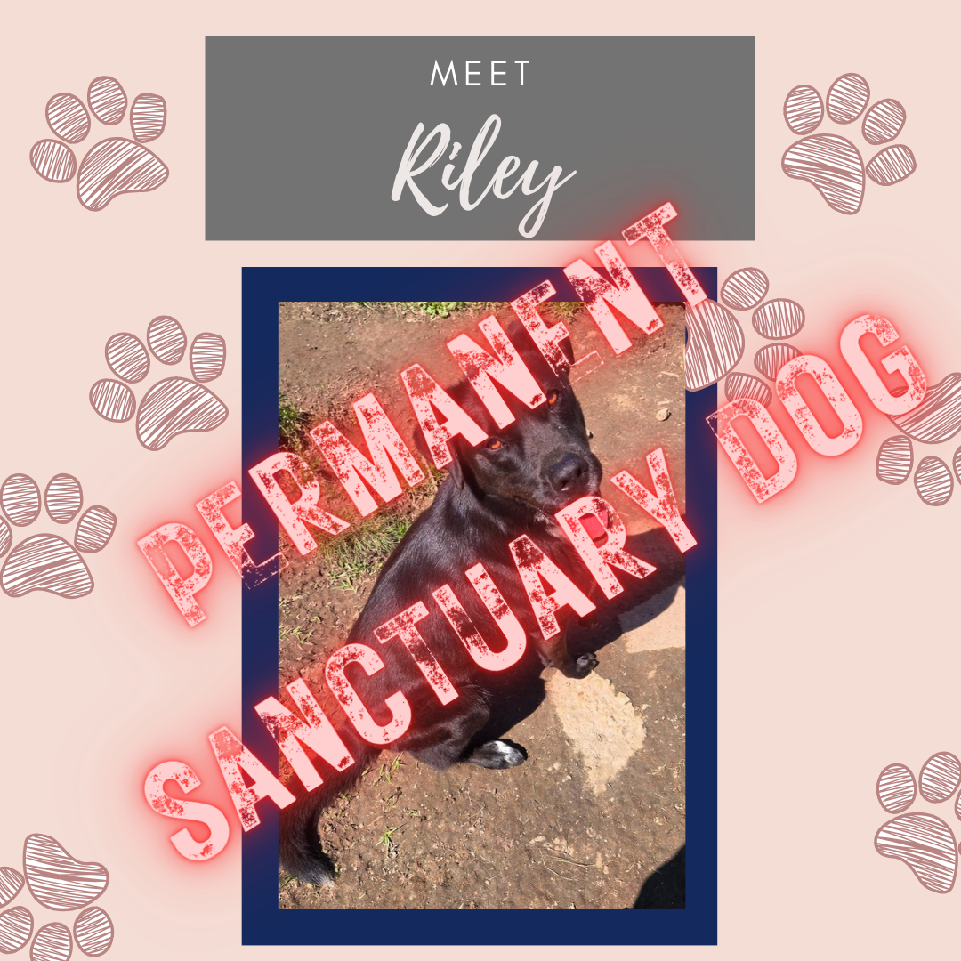 Riley