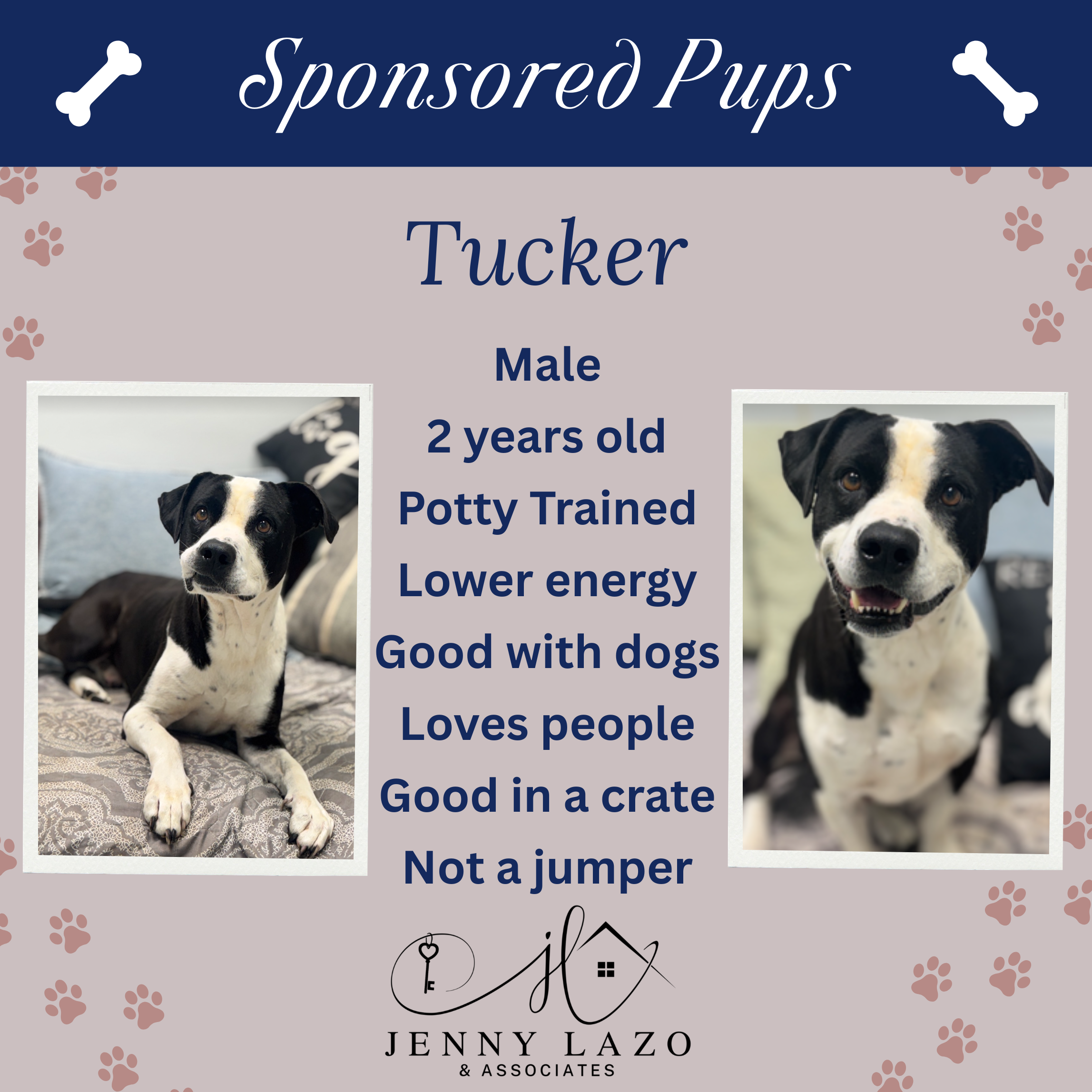 Tucker