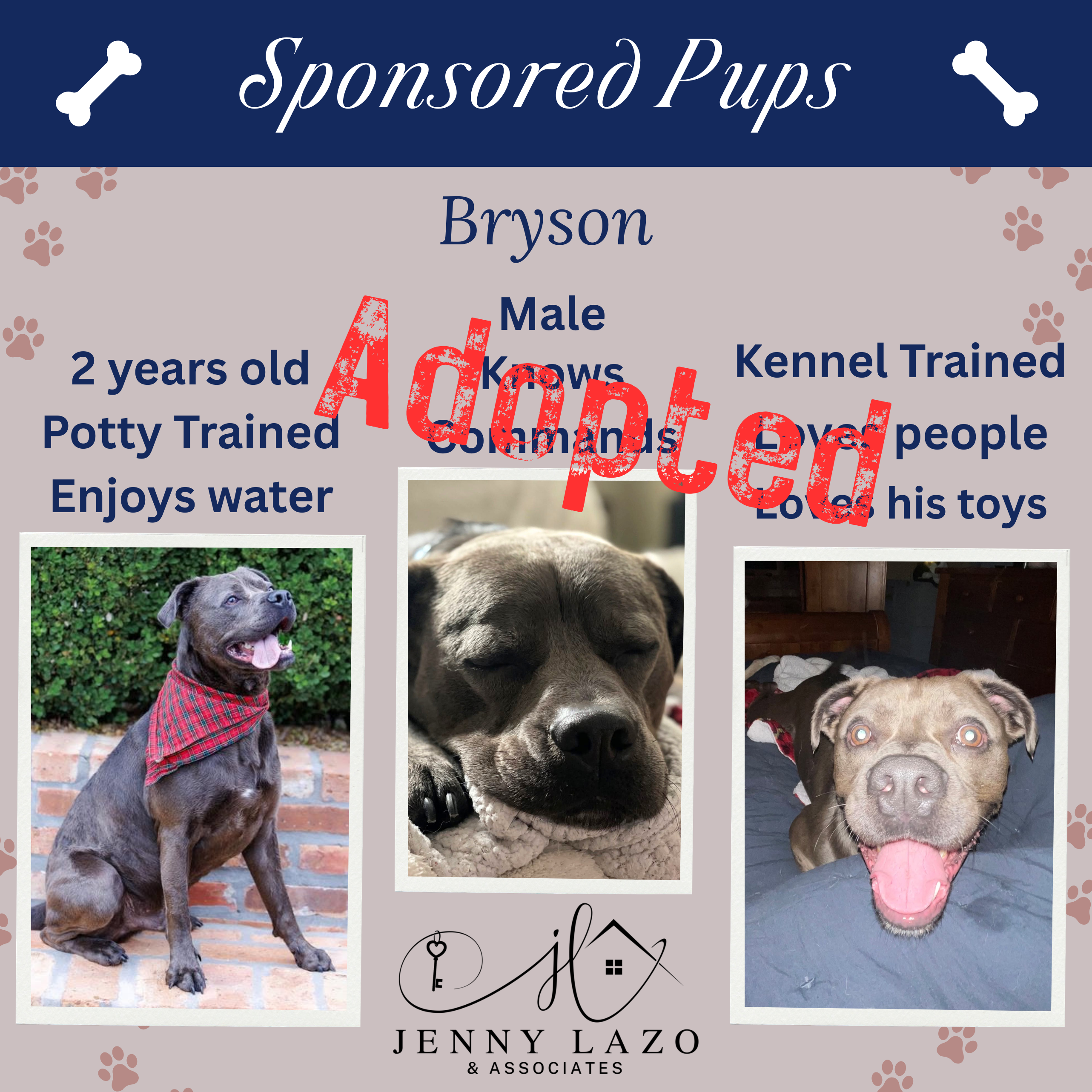 Bryson adoption
