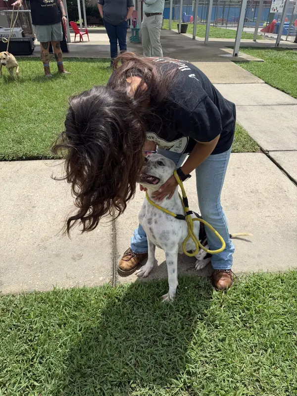 St Francis Saves pups from euthanasia!