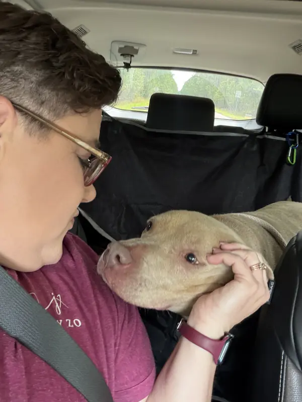 Gypsy's Big Day Out!