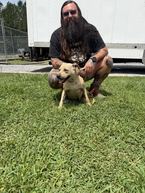 St Francis Saves pups from euthanasia!
