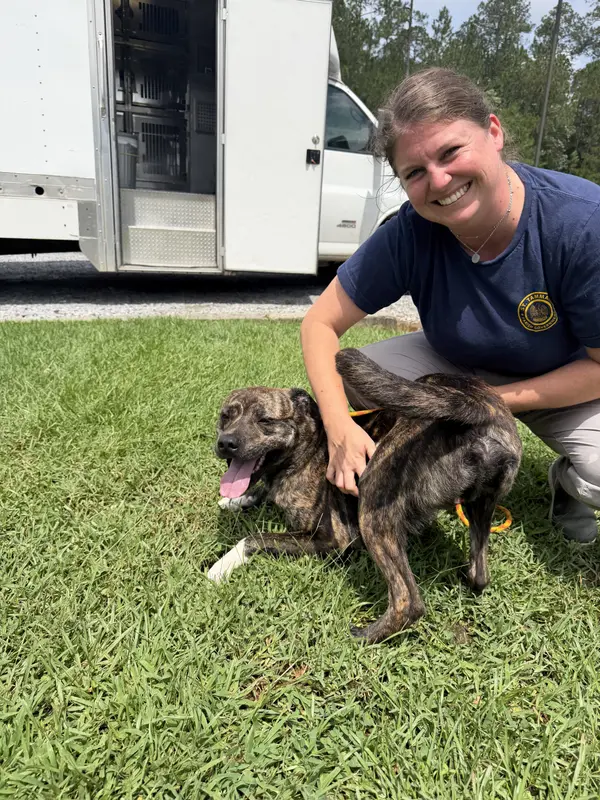 St Francis Saves pups from euthanasia!