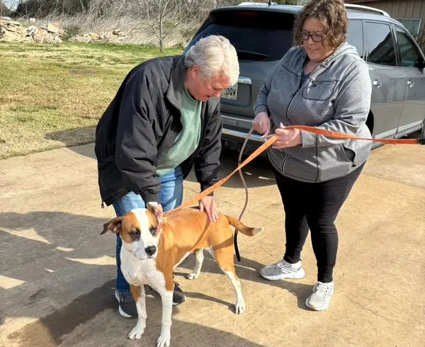 Beau rescue
