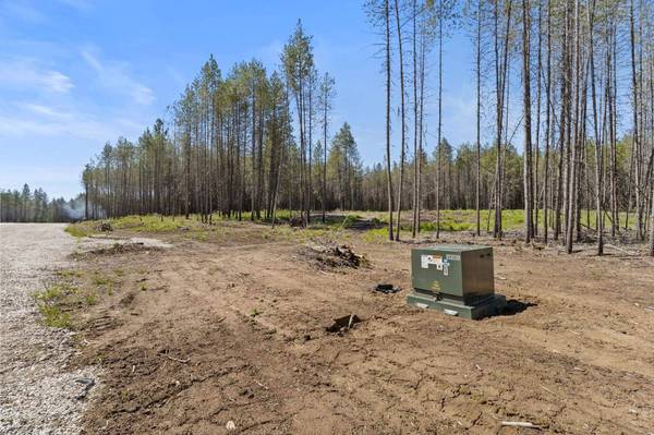 4106 Black Pine WAY, Springdale, WA 99173