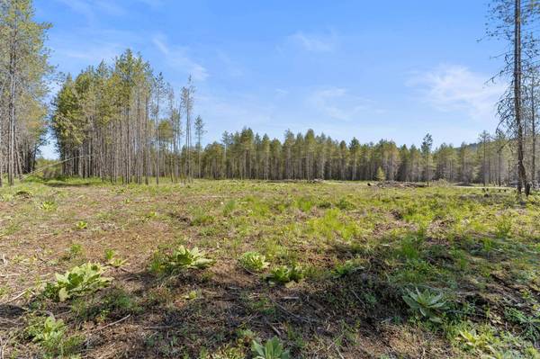 4106 Black Pine WAY, Springdale, WA 99173