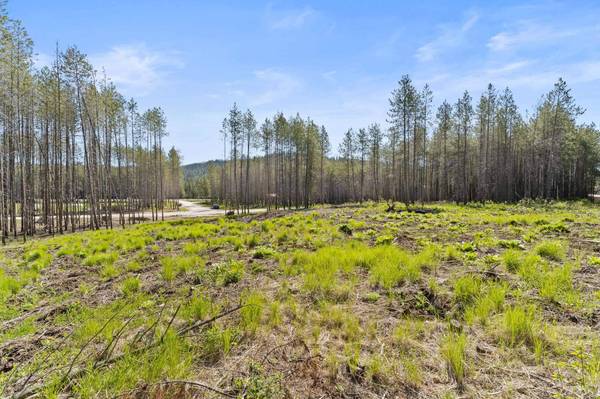 4106 Black Pine WAY, Springdale, WA 99173