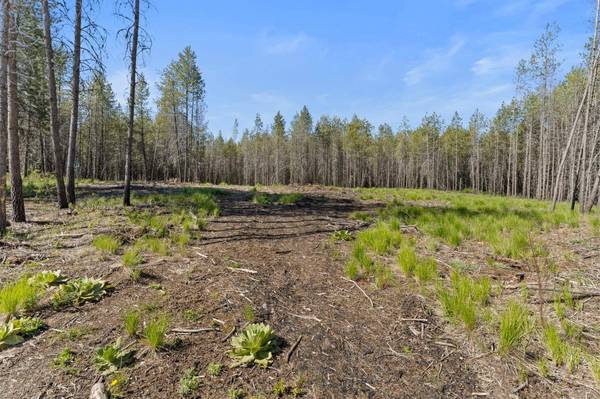 4106 Black Pine WAY, Springdale, WA 99173