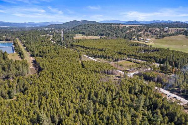 4106 Black Pine WAY, Springdale, WA 99173