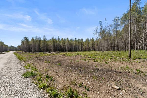 4106 Black Pine WAY, Springdale, WA 99173