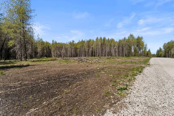 4106 Black Pine WAY, Springdale, WA 99173