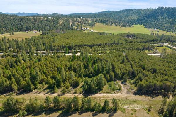 4090 Black Pine WAY, Springdale, WA 99173