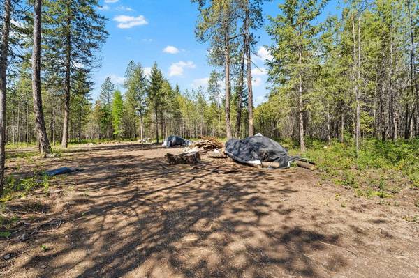 4109 Cemetery Rd, Springdale, WA 99173