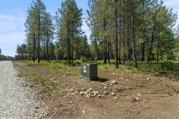 4090 Black Pine WAY, Springdale, WA 99173